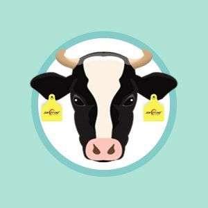 Theo dõi và nhận diện động vật qua công nghệ RFID