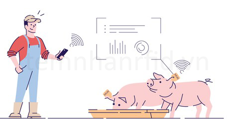 Lưu bản nháp tự động