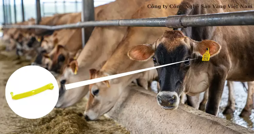 TỔNG QUAN ỨNG DỤNG CÔNG NGHỆ RFID TRONG CHĂN NUÔI